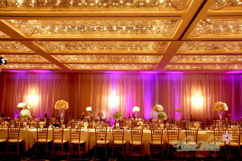 Reception Lighting and Wall Draping